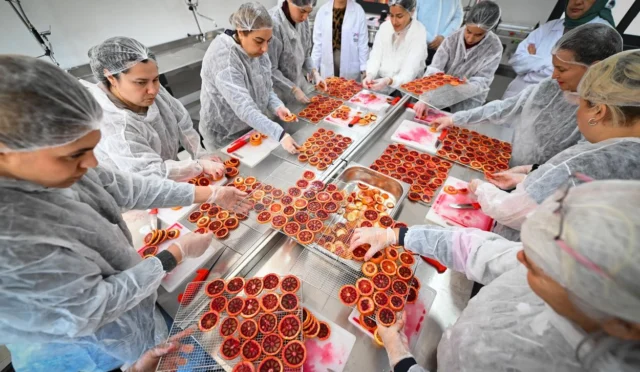 Mersin'de kadınlar, 'Hamzabeyli Köyümüz Atölye' projesi kapsamında kan portakalını kurutma teknikleriyle işliyor.