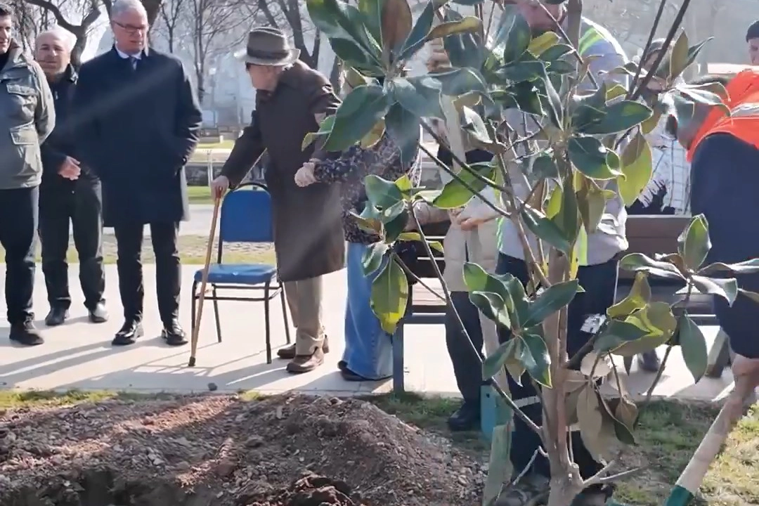 101 Yaşındaki Emin Amca’dan Mudanya’ya Yeşil Miras: Atatürk Parkı’na Nefes Katan Ağaçlar