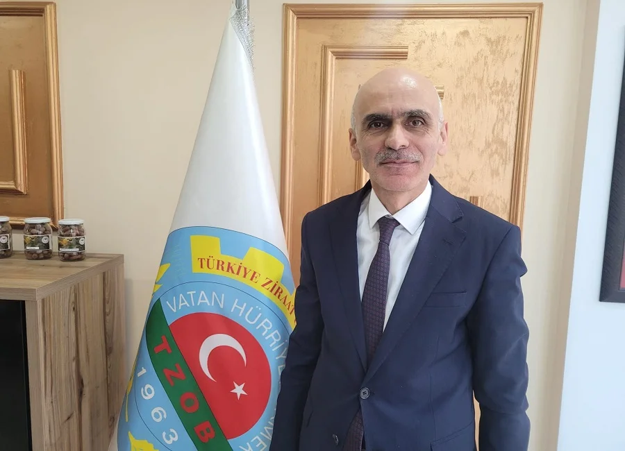 Fındık Fiyatları Eridi: Giresun Ziraat Odası Başkanı Karan’dan Çarpıcı Açıklamalar