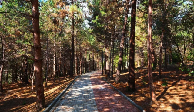 Sakarya Huzur Koridoru'nda düzenlenen ilk halk koşusu etkinliği