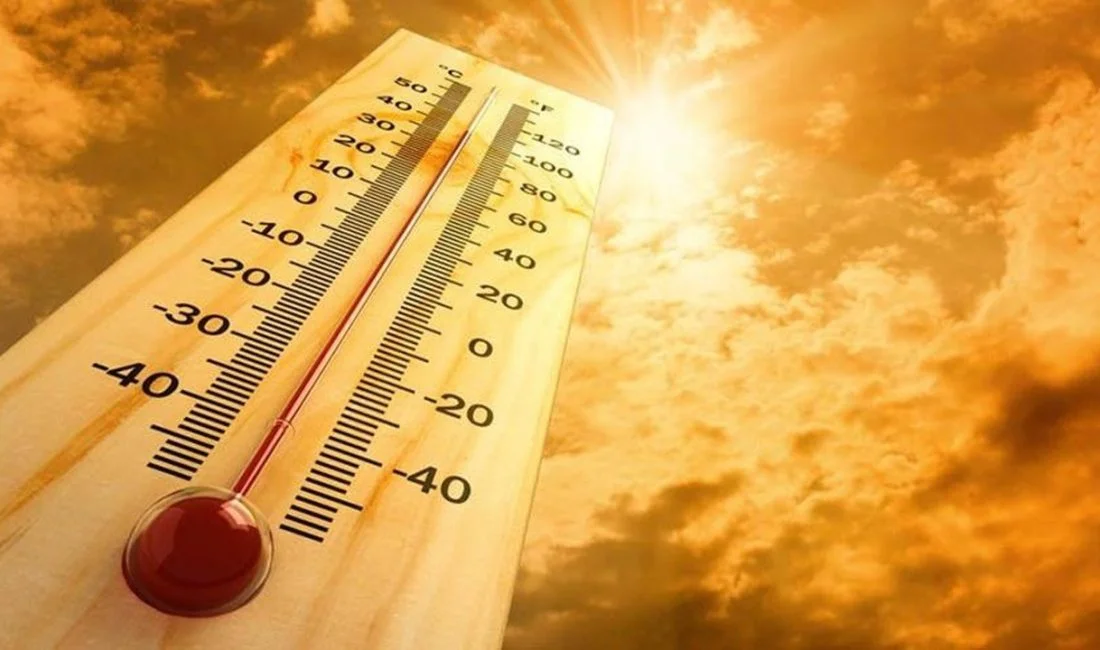Dünya Meteoroloji Örgütü Raporu: Son 11 Yıl Tarihin En Sıcak Dönemi Oldu
