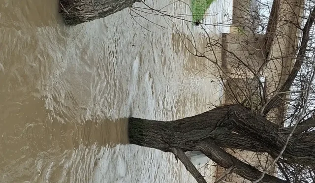 Ankara Beypazarı'nda sağanak yağış sonrası taşan dereler