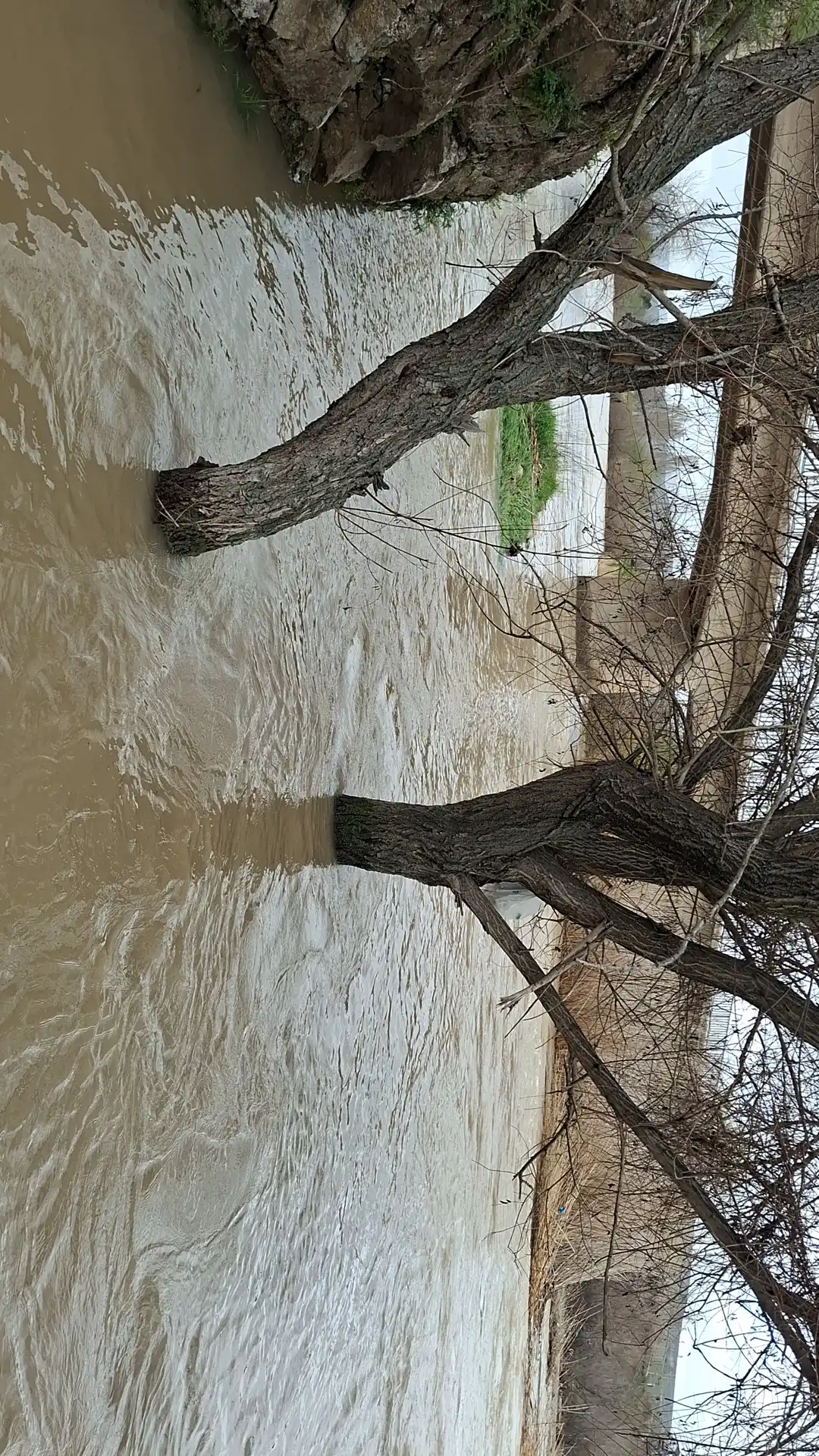 Ankara Beypazarı’nda Şiddetli Sağanak: Dereler Taştı, Hayat Durdu