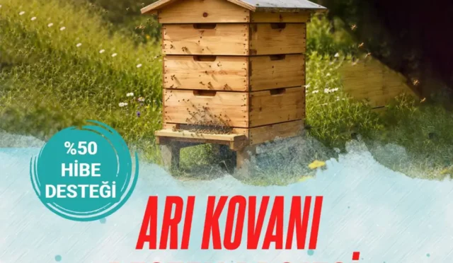 Beypazarı'nda arıcılara yönelik yüzde 50 hibeli kovan desteği projesi kapsamında arılar ve kovanlar