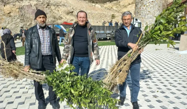 Giresun'da Harşit Zaferi şehitleri anısına dağıtılan narenciye fidanları