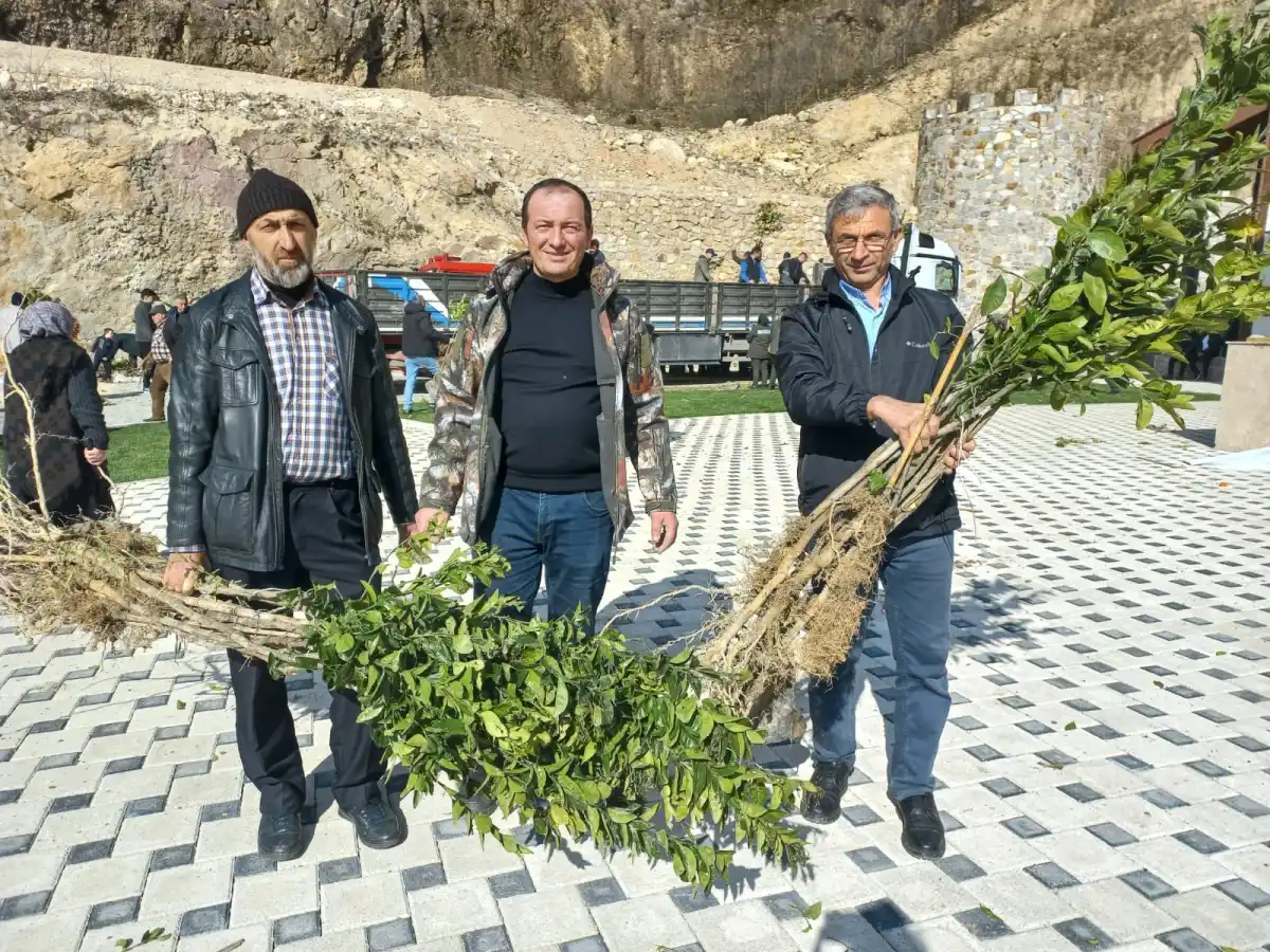 Kafkas Cephesi’nde Harşit Zaferi Hatırası: Şehitler Fidanlarla Anıldı, Halk Narenciyeye Yoğun İlgi Gösterdi
