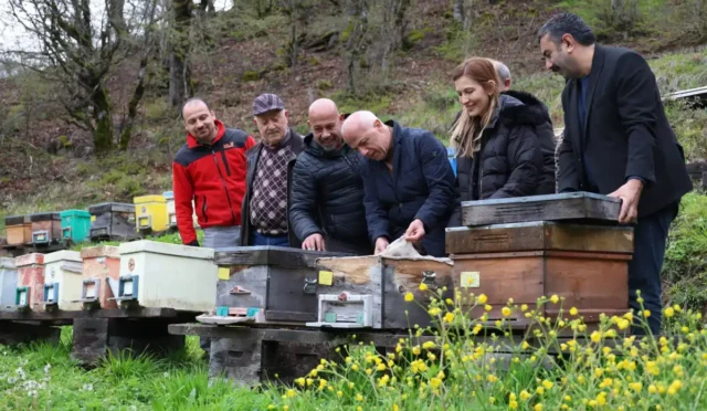 Artvin'de bal üretimi ve apiturizm potansiyeli üzerine incelemeler