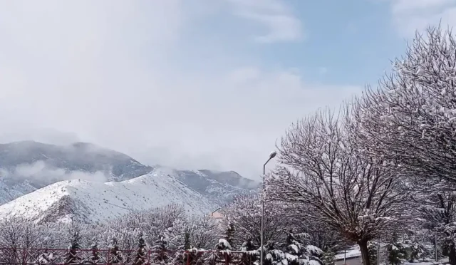 Gümüşhane'de nisan ayında kar yağışı sonrası don tehdidi altındaki meyve ağaçları