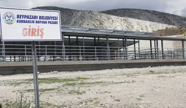 Beypazarı hayvan pazarının yeniden açıldığını gösteren görsel