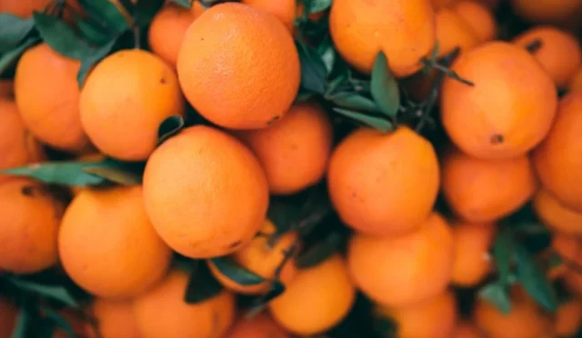 Türk narenciye kasaları istiflenmiş, ihracat başarısını simgeliyor.