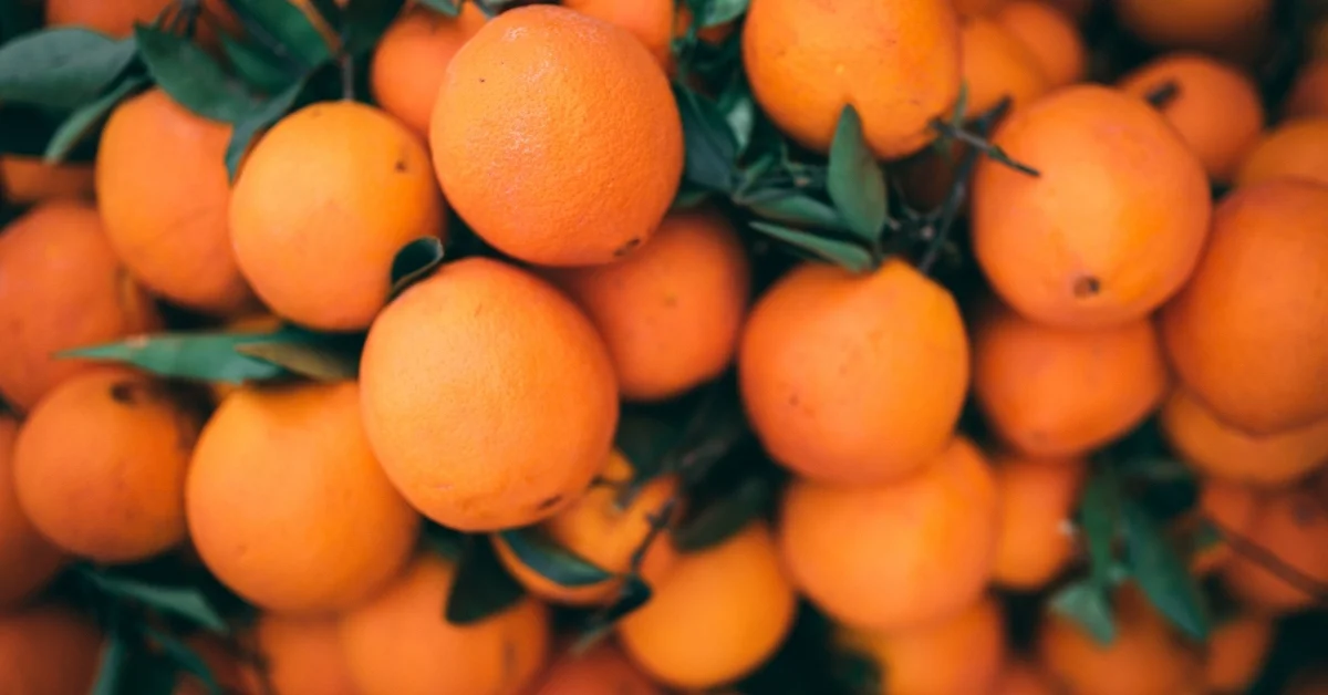 Türk Narenciye İhracatında Rekor Yükseliş: 698 Milyon Dolara Ulaştı