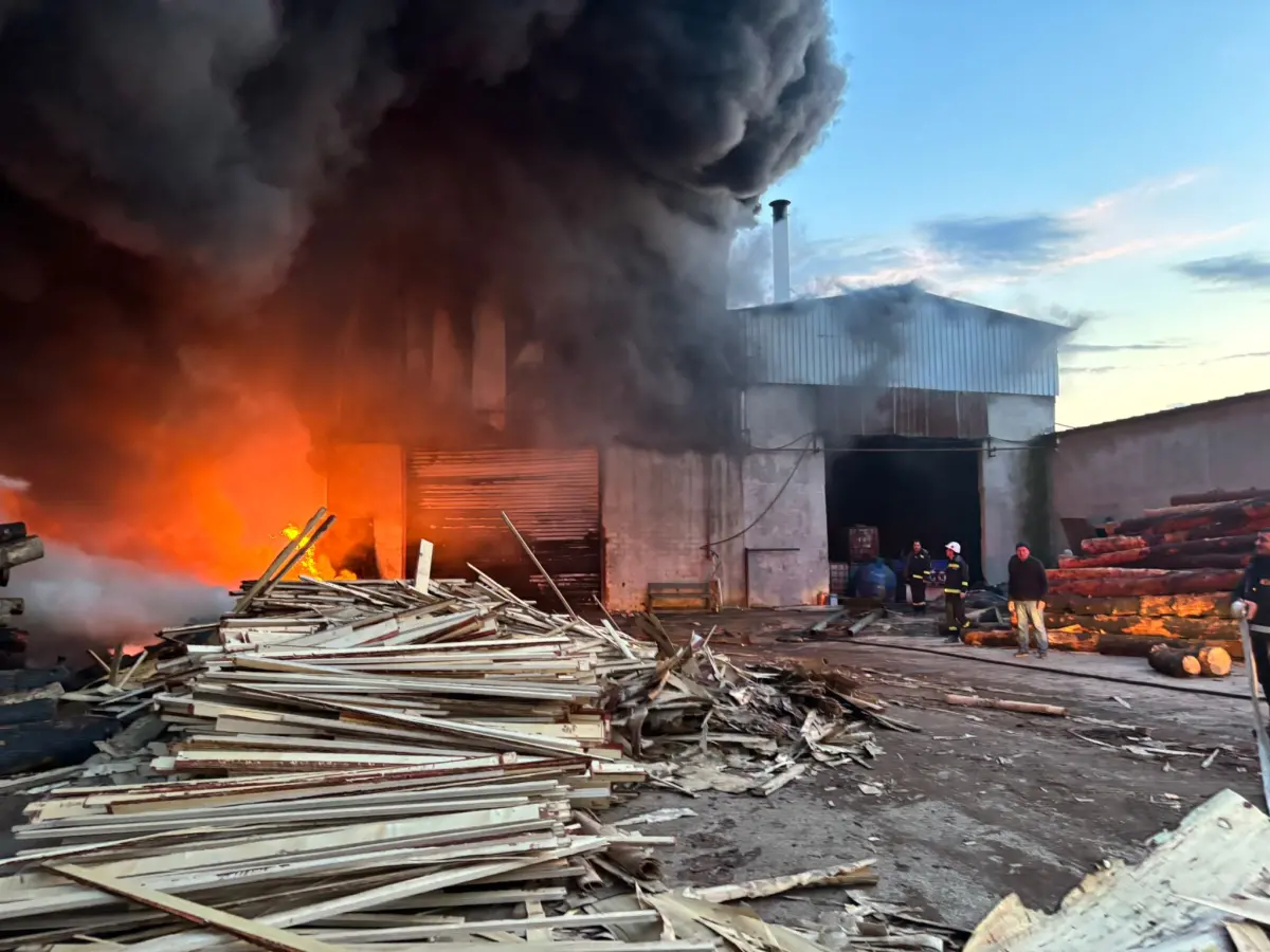 Edirne’de Kereste Fabrikasında Korkutan Yangın: Ekipler Hızla Müdahale Etti, Can Kaybı Yok