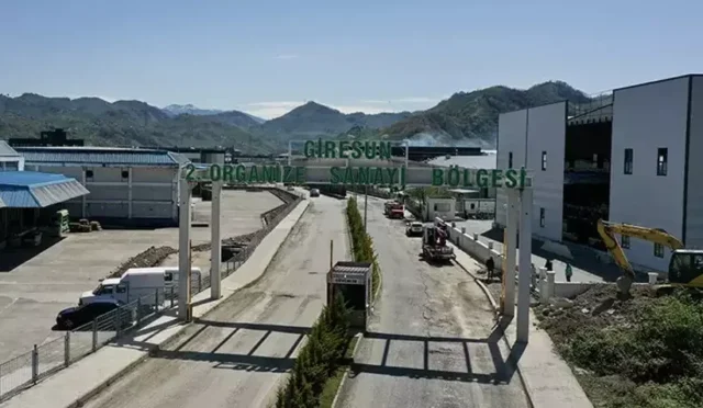 Giresun Organize Sanayi Bölgeleri'nin ihracat rakamlarını gösteren bir grafik