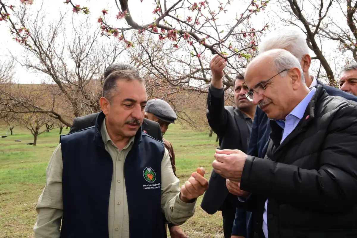 Malatya’da Dolu Felaketi: Kayısı Bahçeleri Zarar Gördü, Raporlar Ankara’ya Gönderilecek