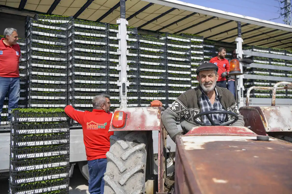Ankara’da Çiftçiye Erkenci Fide Desteği: 8 İlçede 624 Bin Sebze Fidesi Dağıtıldı