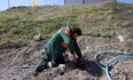Çankaya Belediyesi Mühye kurban satış ve kesim alanında Kurban Bayramı hazırlıkları yapılıyor