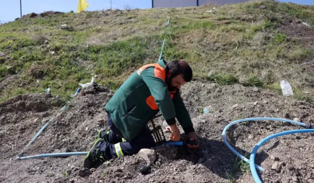 Çankaya Belediyesi Mühye kurban satış ve kesim alanında Kurban Bayramı hazırlıkları yapılıyor