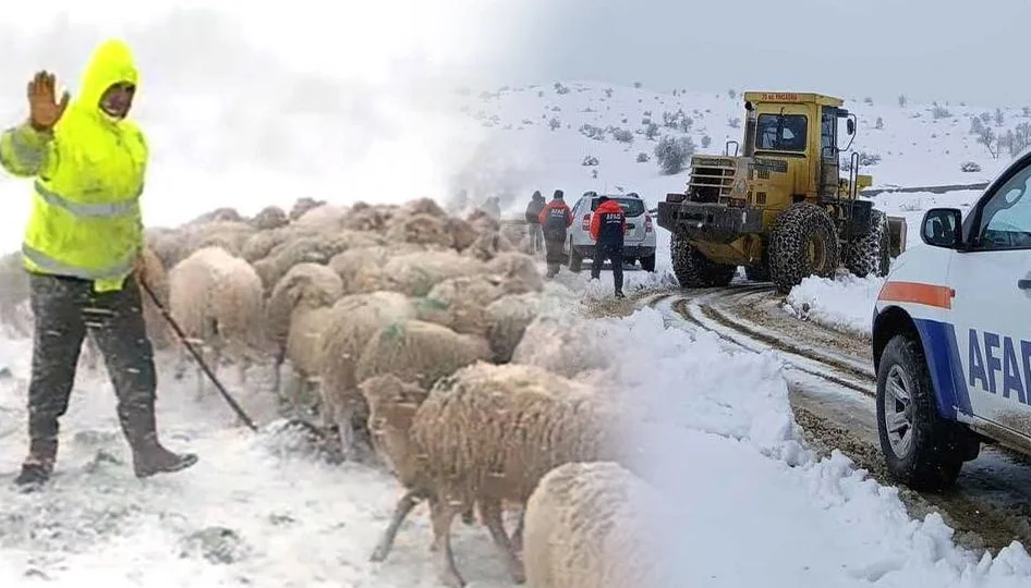 Isparta Yalvaç’ta Kar Engeli: Mahsur Kalan Hayvan Sürüsü Başarıyla Kurtarıldı