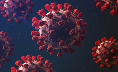 Hanta virüsü semptomları ve korunma yolları hakkında bilgi veren görsel