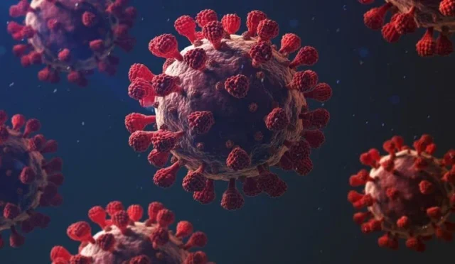 Hanta virüsü semptomları ve korunma yolları hakkında bilgi veren görsel