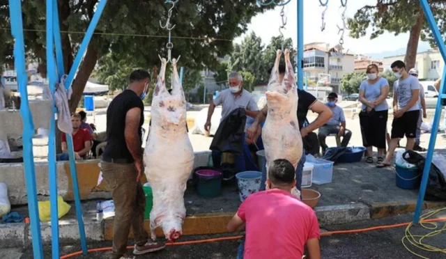 Çorum'da 2026 Kurban Bayramı için belirlenen satış ve kesim noktaları ile alınan tedbirler hakkında bilgilendirme
