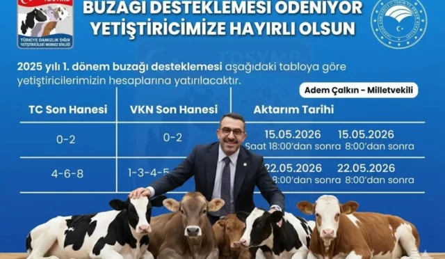 AK Parti Kars Milletvekili Adem Çalkın Duyurdu: Buzağı Destek Ödemeleri Yarın Başlıyor!