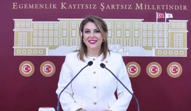 CHP Milletvekili Elvan Işık Gezmiş'in fındık ve madencilik konusundaki açıklamaları