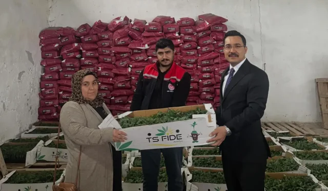 Akyaka'da çiftçilere hibeli fide dağıtımı yapıldı