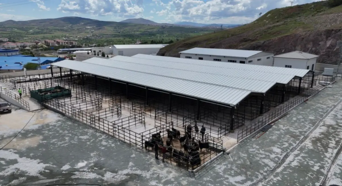 Elazığ’da Kurban Bayramı Coşkusu: Kurban Pazarlarında Hareketlilik Başladı