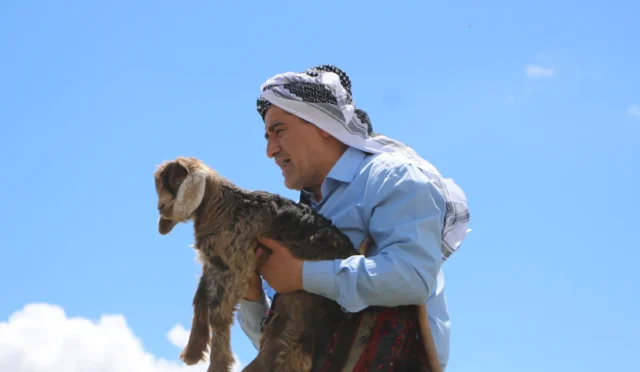 Türkücü Aydın Aydın, Hakkari'de taşlar arasına sıkışmış yavru keçiyi kurtardı.