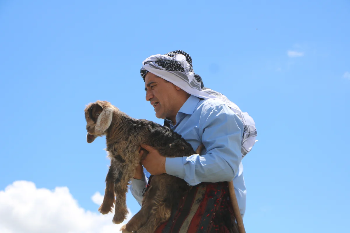 Hakkari’de Duygu Dolu Anlar: Aydın Aydın, Taşlara Sıkışan Yavru Keçiyi Kurtardı