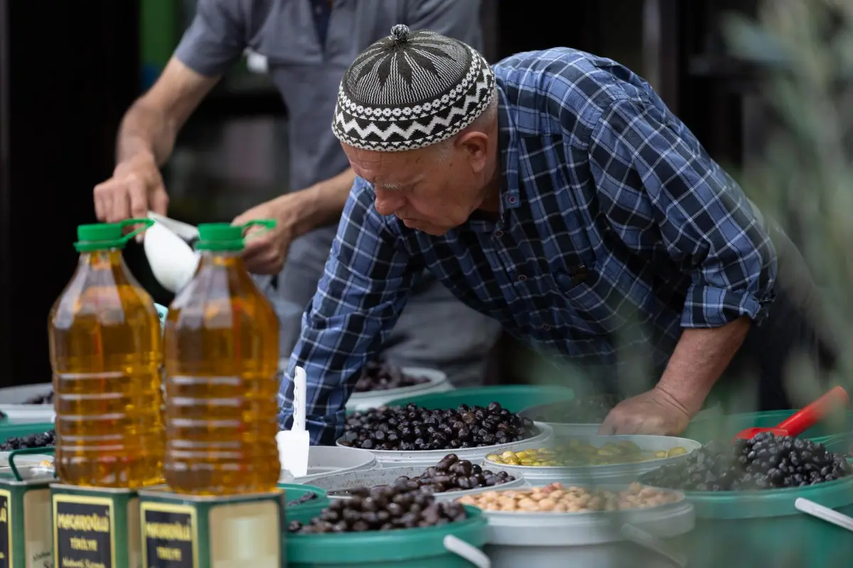 Tirilye Zeytin Çiçeği Festivali Büyüledi: Binlerce Kişi Zeytin Kültürünü Keşfetti