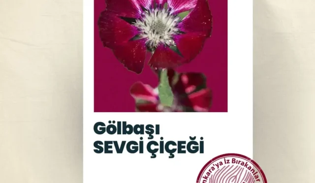 Ankara Kent Konseyi'nin konuğu olan ve bozkırın mor rengiyle dikkat çeken Sevgi Çiçeği