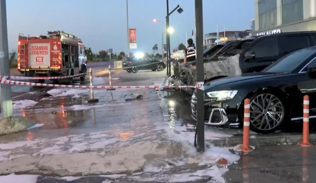 Bakırköy'de bir lüks araç galerisinin önünde çıkan yangında alev alan araçlar