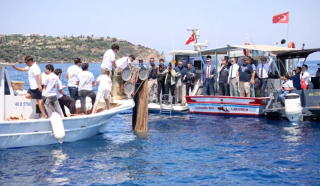 Muğla'da deniz dibinden çıkarılan hayalet ağlar ve yavru levreklerin denize bırakılması