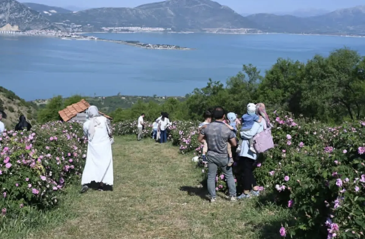 Isparta’da Gül Festivali Sorkuncak Köyü’nde Coşkuyla Devam Etti: Hasat ve Bisiklet Yarışları Nefes Kesti