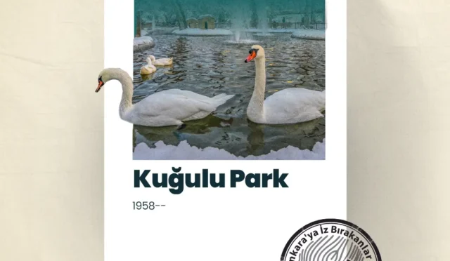 Kuğulu Park'ın ortasındaki havuzda yüzen kuğular ve çevresindeki yeşil alan