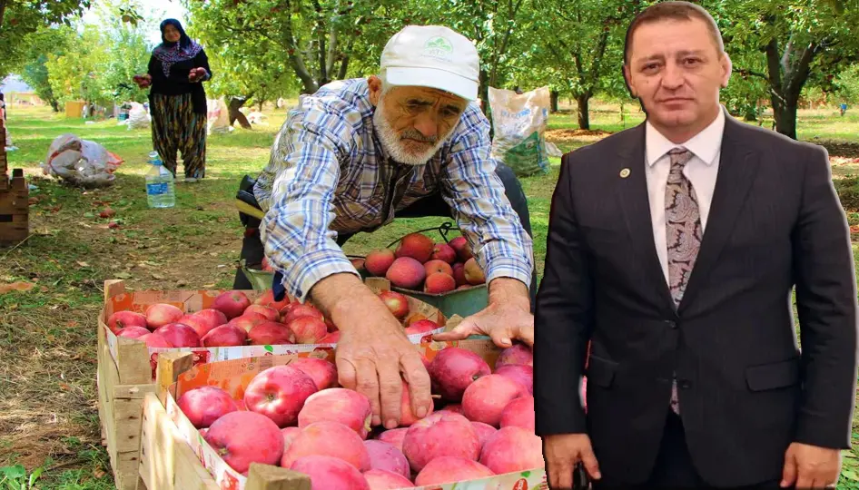 Isparta’da Depolar Dolu: Binlerce Ton Elma Üreticisini Bekletiyor, Milletvekili Sönmez Çözüm Çağrısında Bulundu