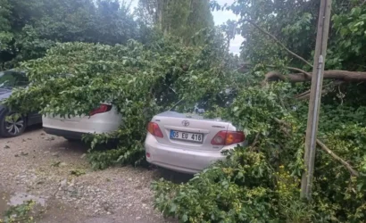 Çorum'da şiddetli yağış sonrası devrilen ağacın altında kalan hasarlı araçlar