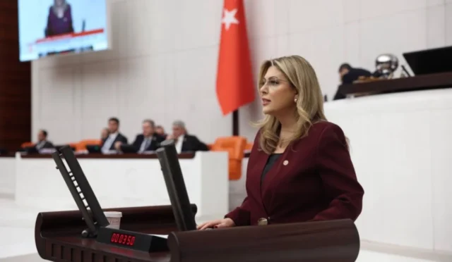 CHP Giresun Milletvekili Elvan Işık Gezmiş, Giresun'da yaşanan doğa felaketine dikkat çekiyor.