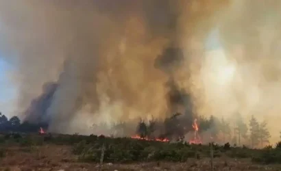 Kahramanmaraş'ta orman yangınına müdahale eden ekipler