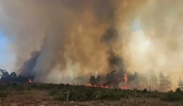 Kahramanmaraş'ta orman yangınına müdahale eden ekipler