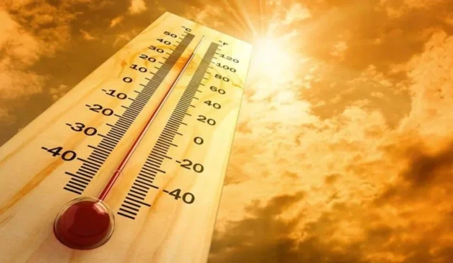 Dünya Sağlık Örgütü logosu ve Avrupa haritası üzerinde sıcak hava dalgalarını temsil eden grafikler.