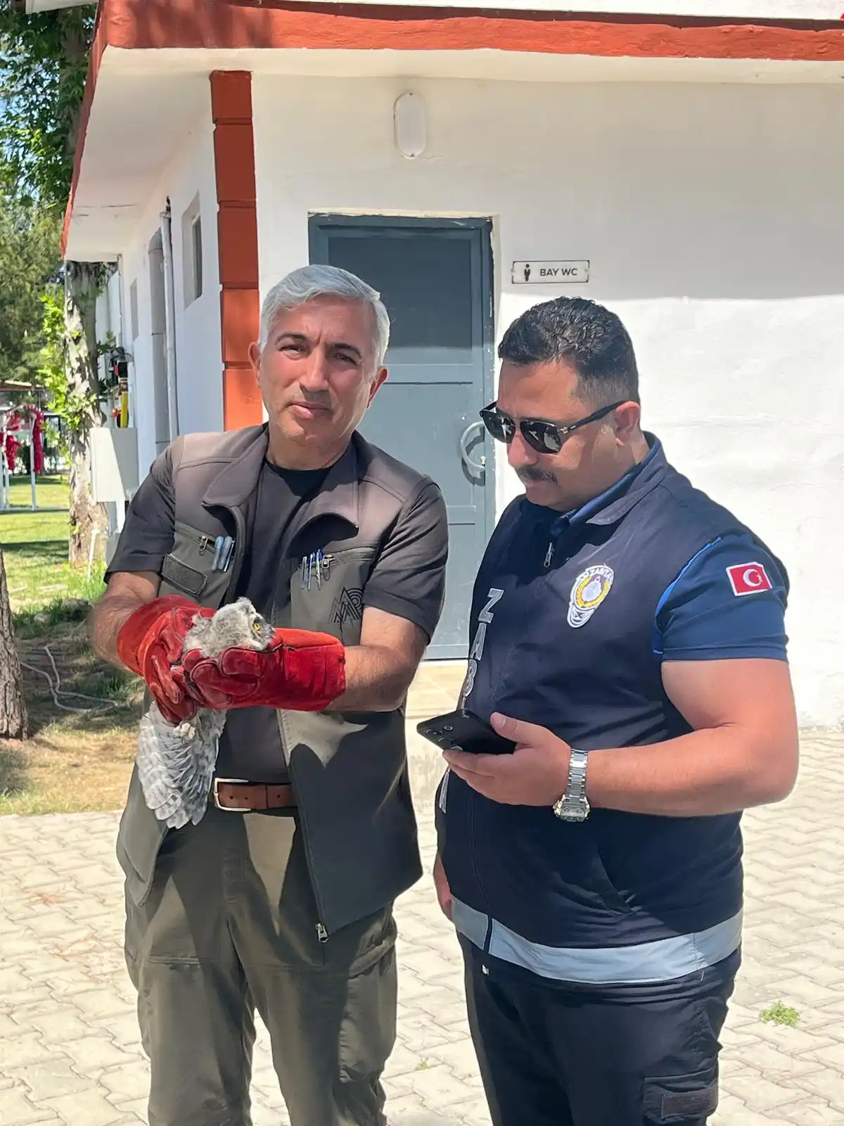 Battalgazi’de Duyarlılık: Yavru Baykuş Güvenle Koruma Altına Alındı