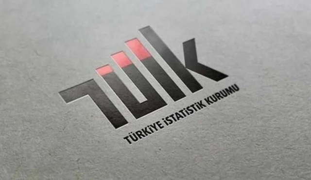 Türkiye'de Mayıs ayı işsizlik rakamlarını gösteren grafik