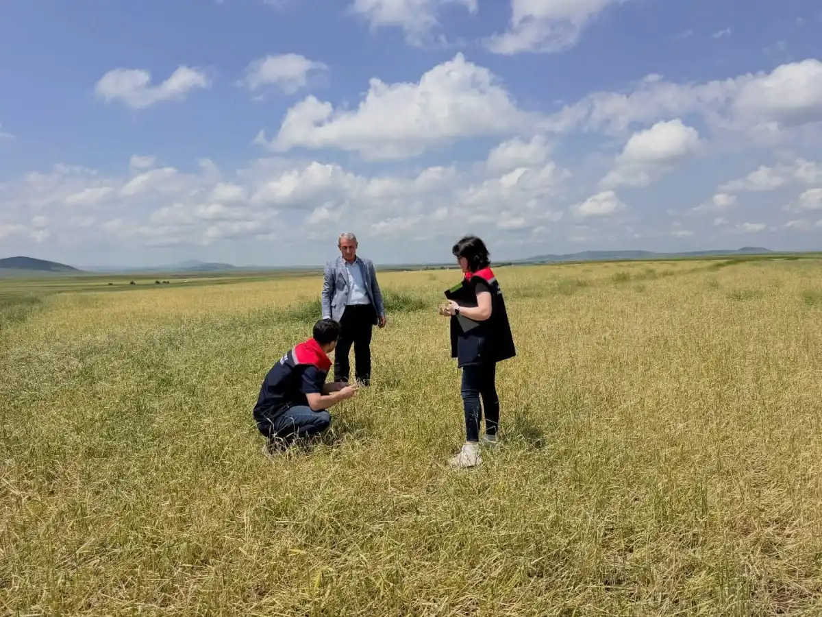 Kars’ta Şiddetli Fırtına ve Dolu: Köylerde Tarımsal Hasar Tespit Çalışmaları Başladı
