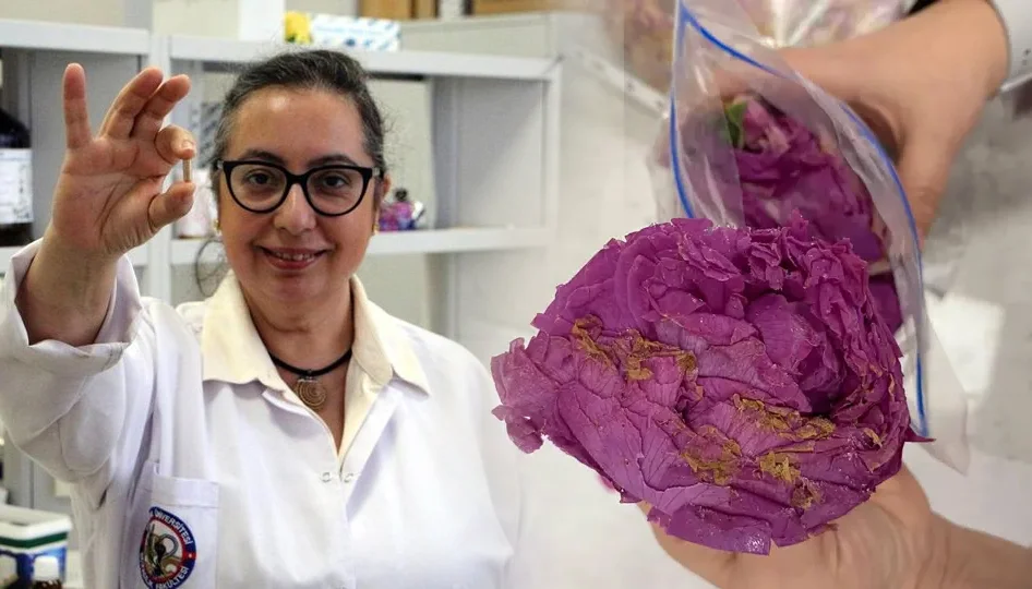 Isparta Gülü Tablet Parfüme Dönüştü: Bilimsel Yenilikle Doğal Aroma Teknolojisi
