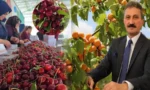 Batı Akdeniz'den kiraz ve vişne ihracatından elde edilen 40,6 milyon dolarlık gelir