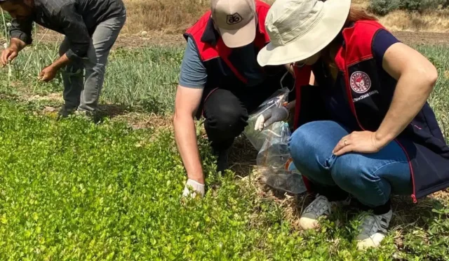 Kırıkkale'de organik tarım arazilerinde denetim yapan görevliler