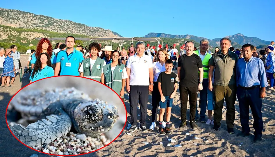 Caretta Caretta Yavruları Güvenle Denizle Buluştu: Çıralı’da 26 Yıllık Çevre Mücadelesi Örnek Oluyor
